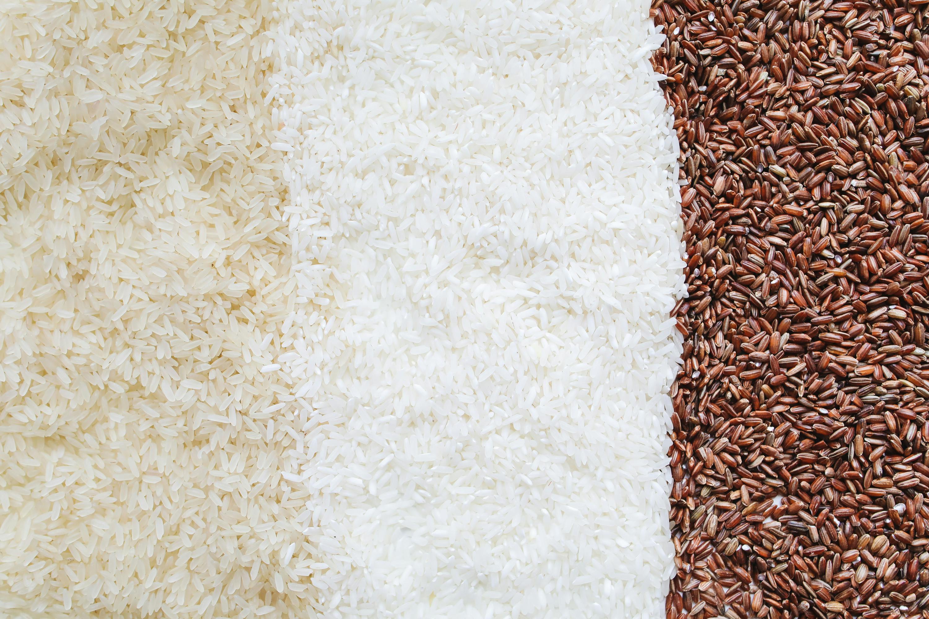 Traditional Basmati vs. Sela Rice